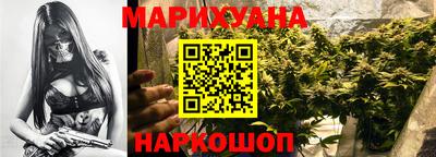 Альфа ПВП Моздок