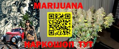 Альфа ПВП Моздок