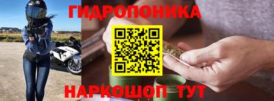 Альфа ПВП Моздок