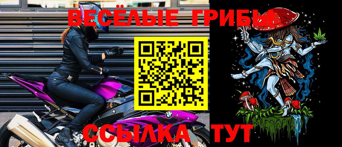Галлюциногенные грибы Psilocybe  Вход с VPN  Старая Купавна 